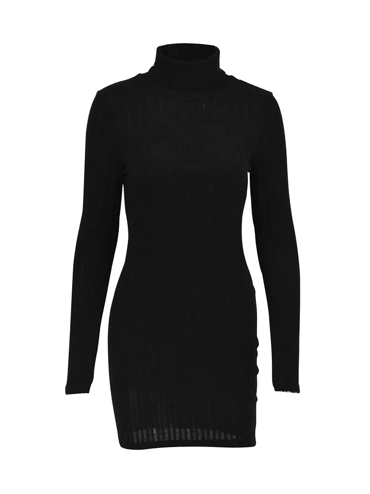 Elegant Mini Dress with Turtleneck