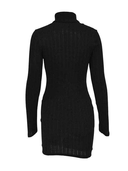 Elegant Mini Dress with Turtleneck